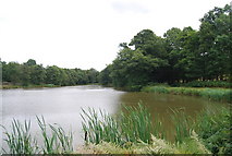 TQ5734 : Small Lake by the Tunbridge Wells Circular Path, Eridge Park by N Chadwick