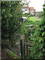 Cottages at Heckingham Holes