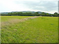 Footpath to the A46