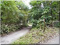 Footpath to Denton