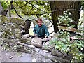 Dry-stone Walling