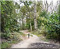 Footpath to St Annes Road