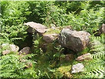 NS4380 : Remains of wall at lime-kiln site by Lairich Rig