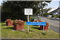 Floral Display