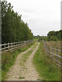 Footpath Alongside Runway 2