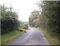 Road past Finzean sawmill