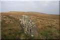 SX6389 : White Moor Stone by Guy Wareham