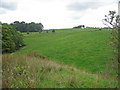 Field, Alton Burn