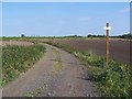 Footpath Near Shenstone