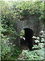 Pedestrian tunnel under Strathspey Railway