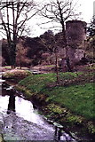 W6075 : Blarney Castle Grounds - Stream that flows by castle by Joseph Mischyshyn