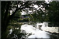 The River Stour at Blandford Forum