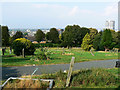 Central Swindon from Radnor Street cemetery