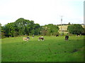 Ballyvicknacally Townland