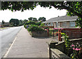 Bungalows in Station Road