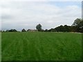 Viewpoint on Cathkin Braes