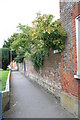 Church Walk, Blandford Forum