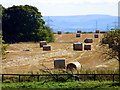 Recently harvested field adjacent to Thorpe Wood