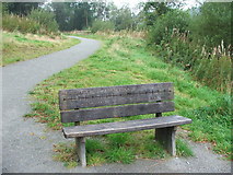 SS6441 : Commemorative Bench at Wistlandpound by Barrie Cann