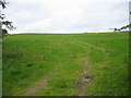 Field near Eglingham Moor