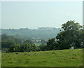 2009 : South of east from Lodge Road