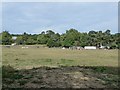 From Stoney Lane, East Burnham