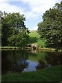 Outflow pool for the canal feeder - Knypersley Reservoir