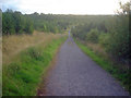 Path down to the ponds