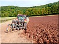 Ploughing near Compton Dundon