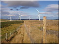 Windfarm on Winds Eye Hill (2)