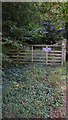 Gate into wood