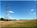 NZ4025 : Looking past pylons to Flat Wood by Graham Scarborough