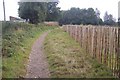 Footpath to Cranbrook