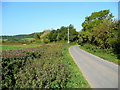 Lane up Tirley Hill