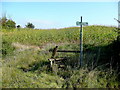 Footpath to Tirley