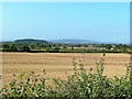 View over Corse