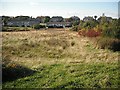 Wattston and Standrigg Memorial Park