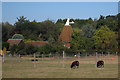 Blean Oast, Hickmans Green, Boughton-under-blean, Kent