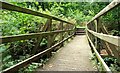 Footbridge, Crawfordsburn Country Park (2)