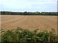 Farmland, North Moor