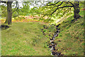 Feeder stream to the Afon Corrwg Fechan - Glyncorrwg