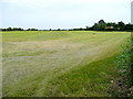 Grassland near Hinton Cross 3