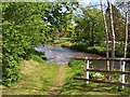 Ford (with duck) at Great Asby