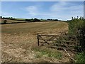 Field near Bowbeer