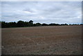 Large field north of Powder Mill Lane