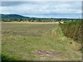 Farmland west of Dumbleton