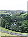 The valley of Caty Well Brook