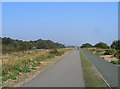 The Saxon Shore path and cycleway, Walmer