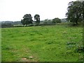 Pasture near Croscombe