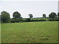 Fields near East Horrington